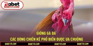 Giống gà đá