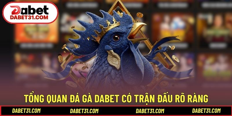 Tổng quan đá gà DABET với hệ thống trận đấu rõ ràng